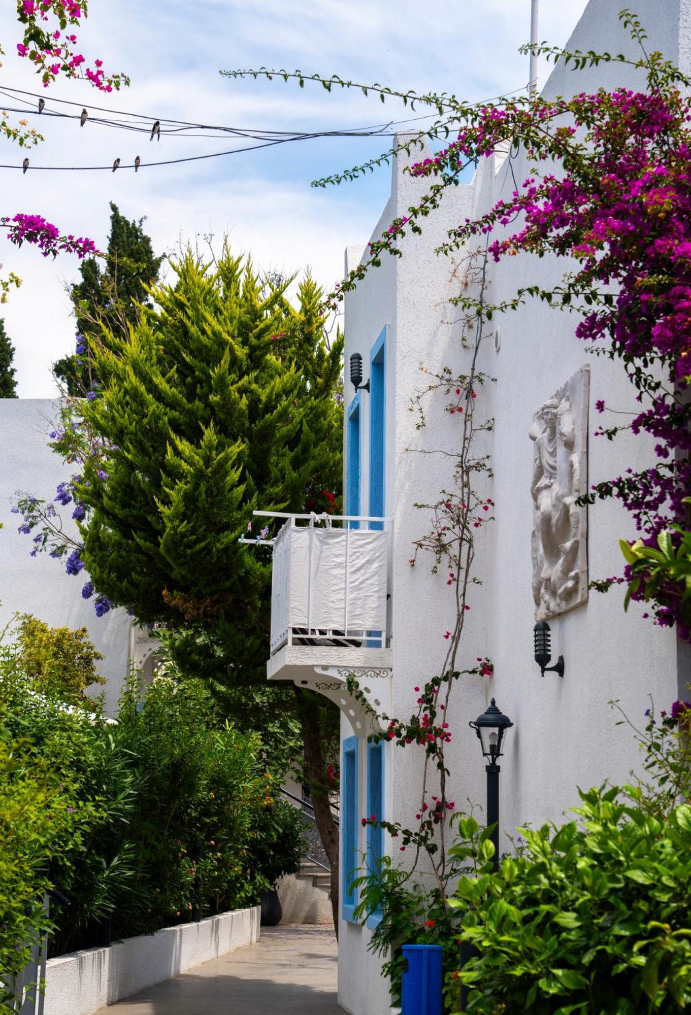 Manuela Boutique Hotel Bitez Luaran gambar