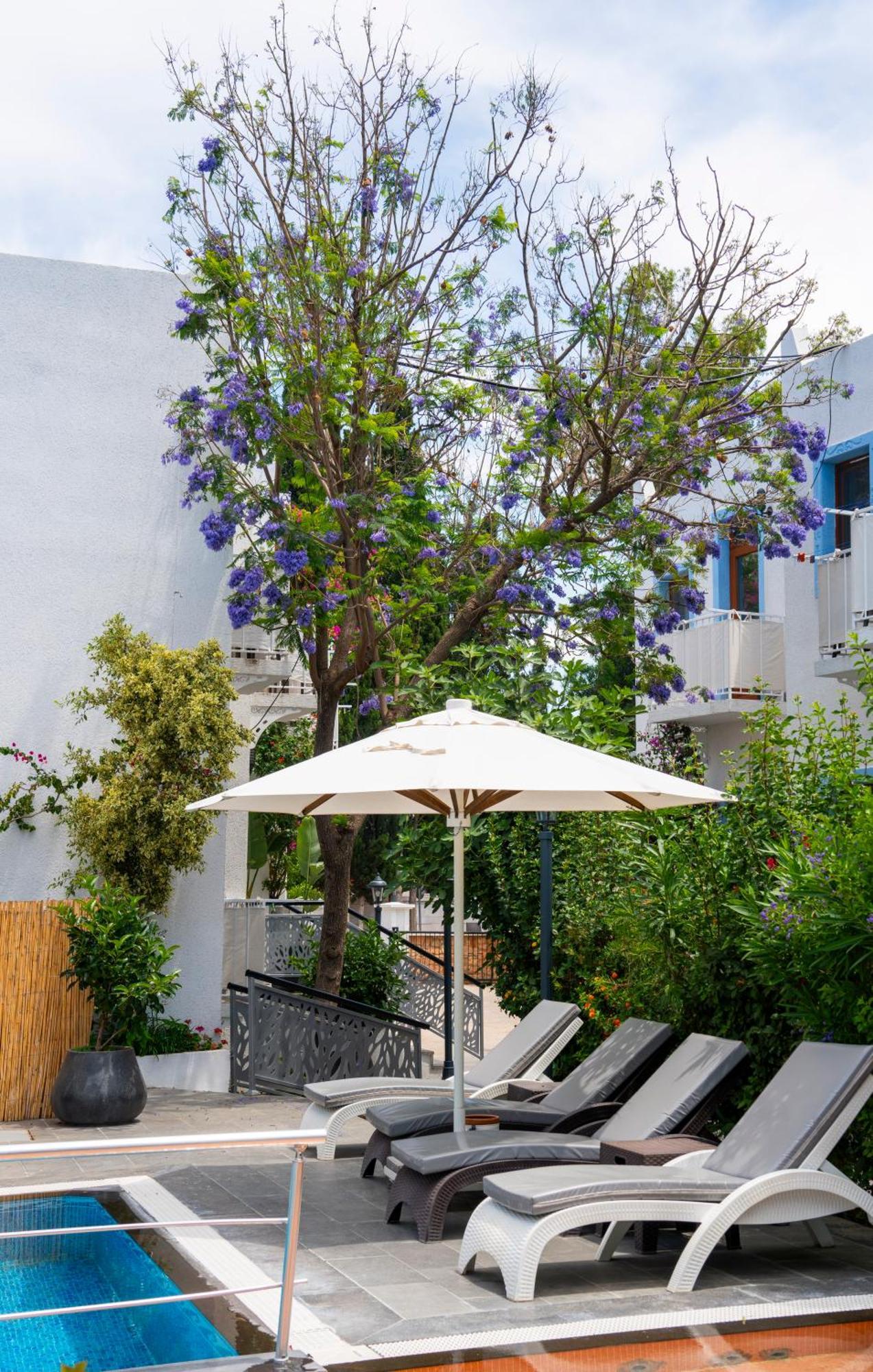 Manuela Boutique Hotel Bitez Luaran gambar